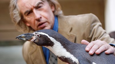 Kino am Nachmittag: Der Pinguin meines Lebens